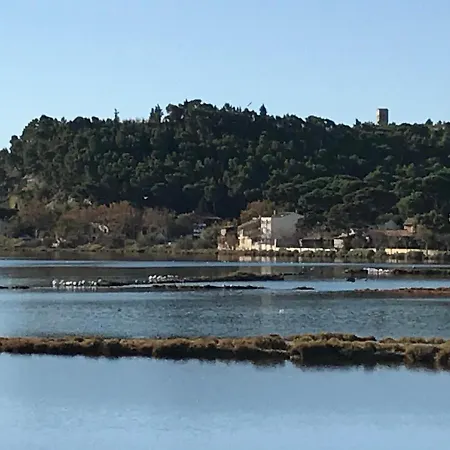 Parenthèse Au Bord De L’étang