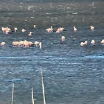 Parenthese Au Bord De L'etang Lägenhet *