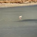 Parenthese Au Bord De L'etang Lägenhet Bages (Aude)