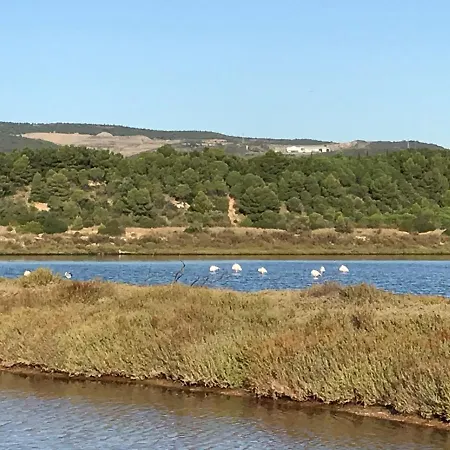 Parenthèse Au Bord De L’étang