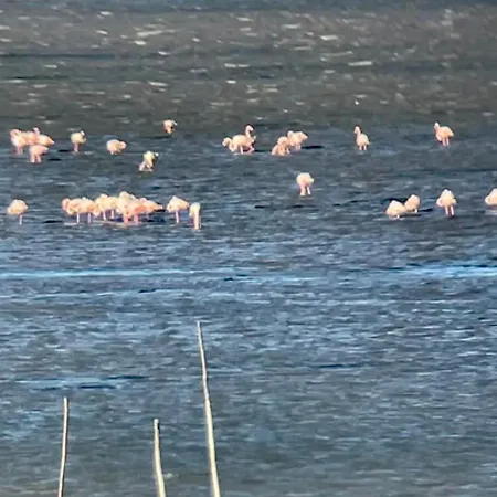 Parenthese Au Bord De L'etang Apartamento *