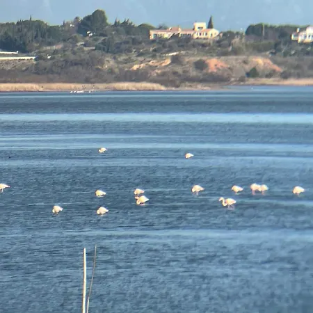 Parenthese Au Bord De L'etang * Bages (Aude)