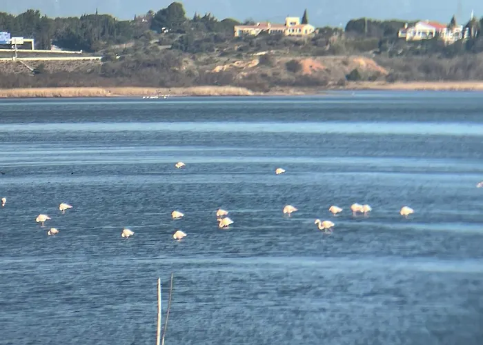 Parenthèse Au Bord De L’étang * Bages (Aude)